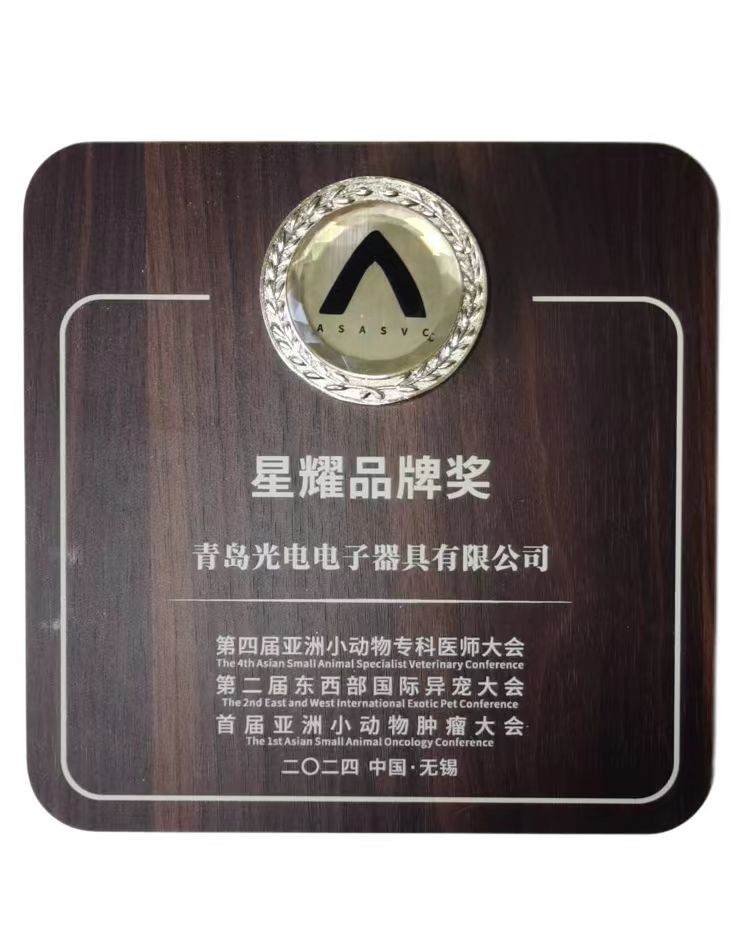 1731486554530949.jpg 星耀品牌獎.jpg