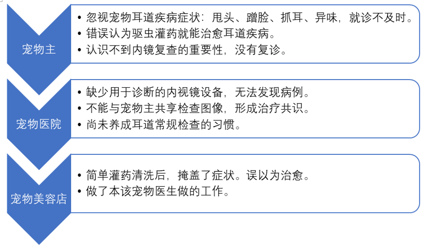 1731574857318601.png 5.png